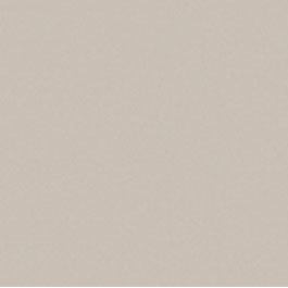 Italian lacquer Chinese ginkgo biloba